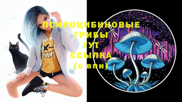спиды Абдулино